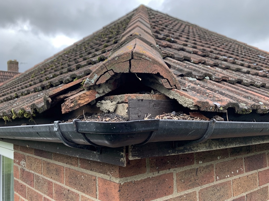Early warning signs of roof damage on UK semi-detached house